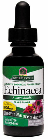 Natures Answer Echinacea