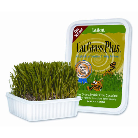 Gimborn - Cat Grass Plus