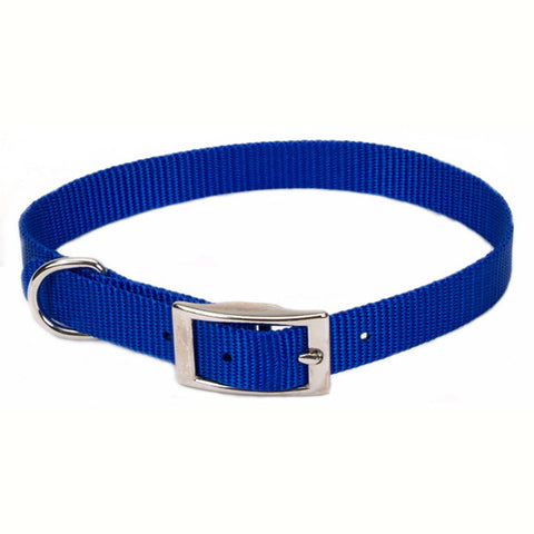Nylon Dog Collar Blue