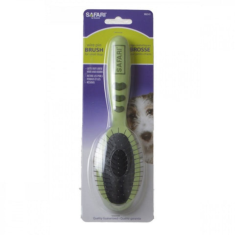 Wire Pin Brush for Small Dogs - 1 Brush