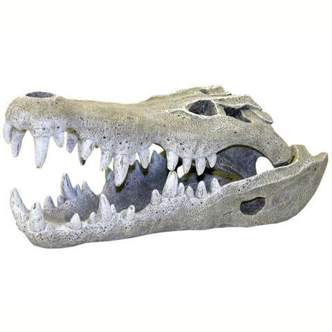Blue Ribbon - Resin Ornament Nile Crocodile Skull - Small