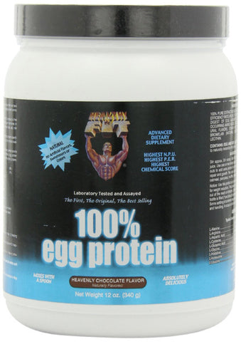 Healthy N Fit 100 Egg Protein Chocolate
