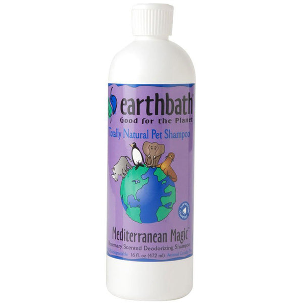EARTHBATH - All Natural Mango Tango Shampoo and Conditioner in One