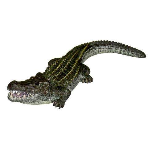 EXOTIC ENVIRONMENTS - Bubbling Alligator