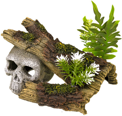 EXOTIC ENVIRONMENTS - Jungle Skull Hideway with Plants